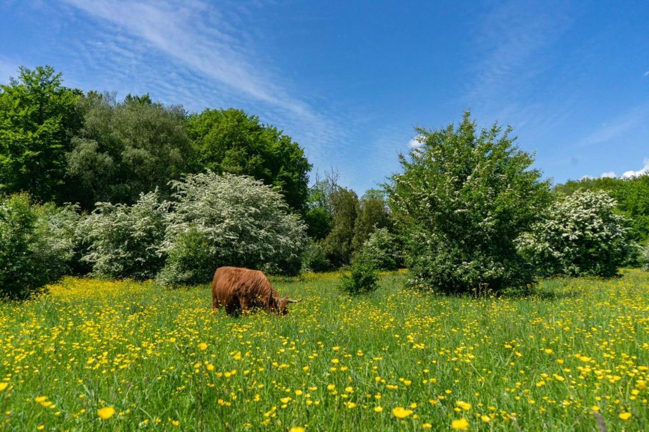Europarcs Het Amsterdamse Bos 호텔 암스텔벤 외부 사진
